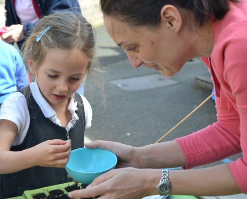 Planting rocket seeds in the school garden with Jenny Inglis, editor of Whizz Pop Bang Science Magazine