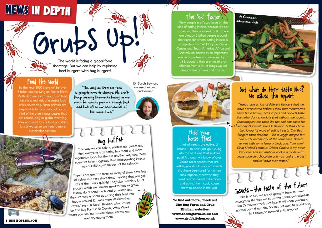 Whizz Pop Bang science magazine for kids eating insects