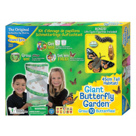 butterfly garden kit