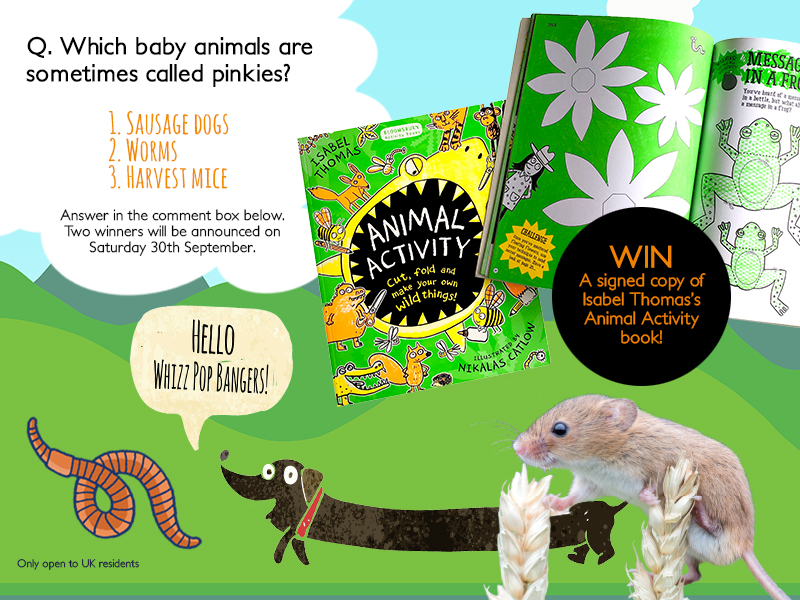 September competition Isabel Thomas Animal Activity