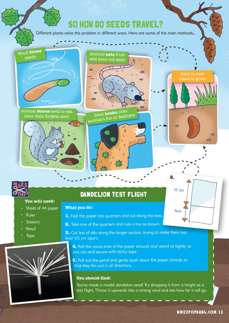 How do seeds travel?