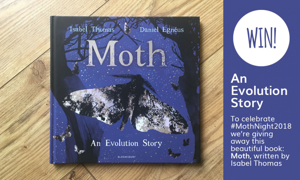 WIN! Moth, An evolution story by Isabel Thomas Whizz Pop Bang Blog