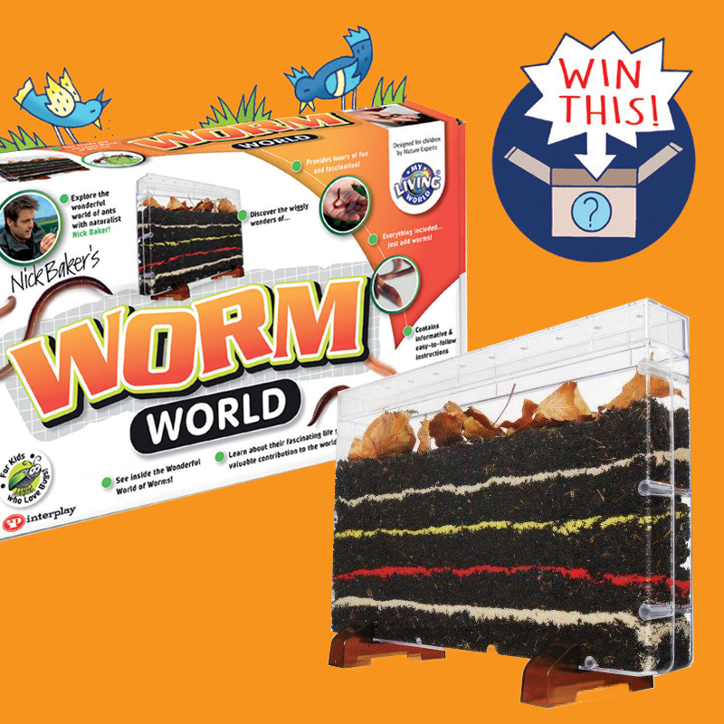 Win Nick Baker Worm World