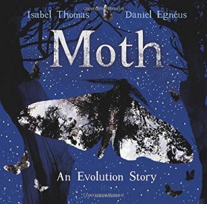 Moth by Isabel Thomas