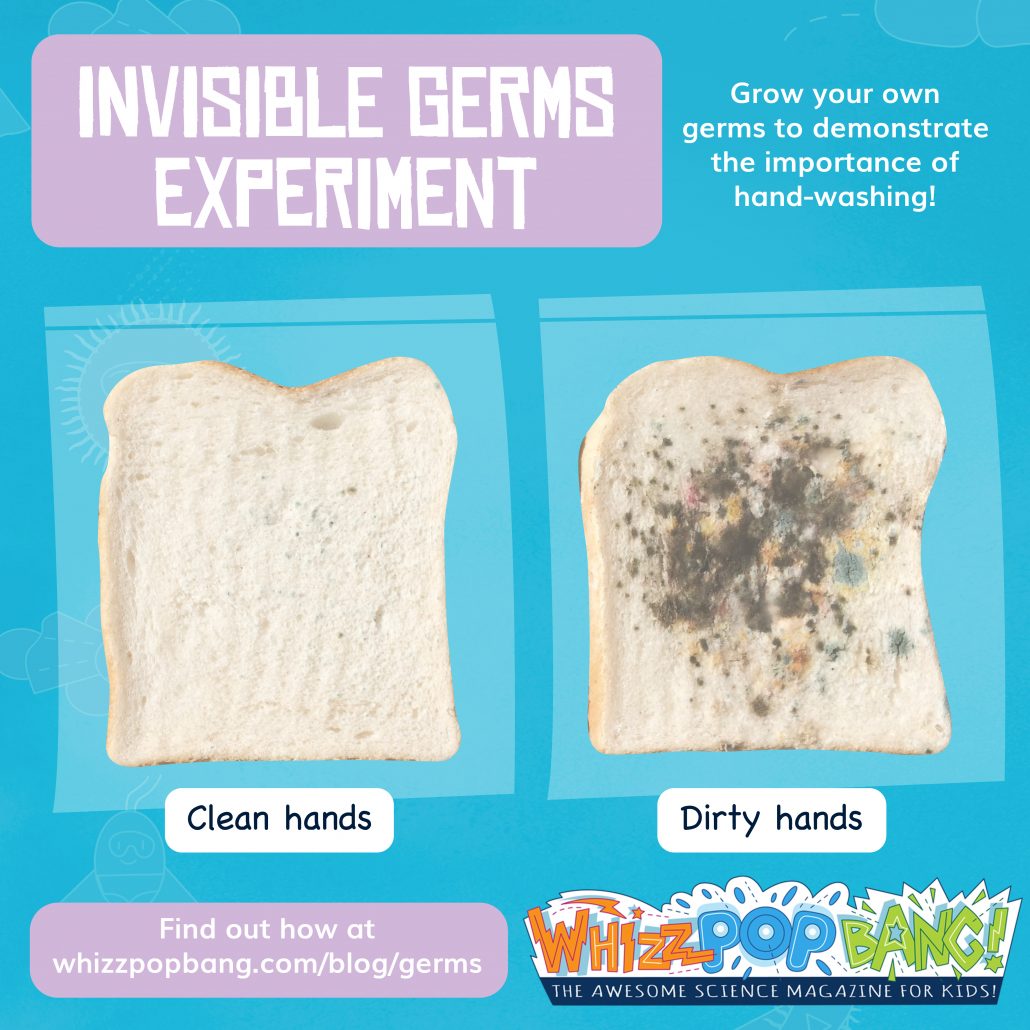 https://www.whizzpopbang.com/blog/wp-content/uploads/2020/03/handwashing1-1-1030x1030.jpg