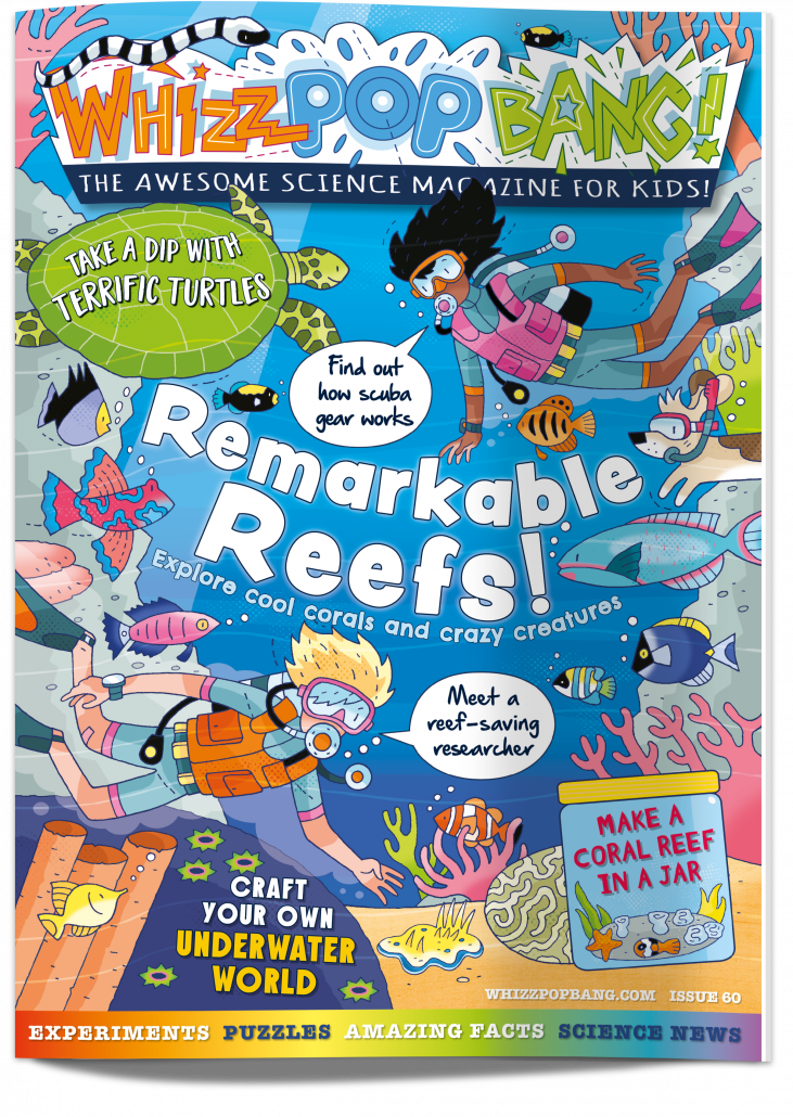 Whizz Pop Bang Coral Reef cover