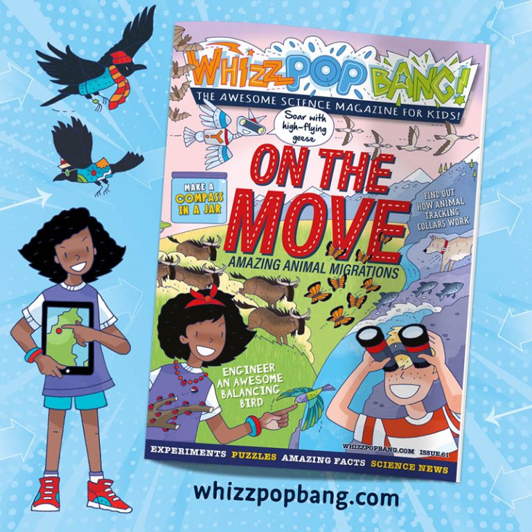 Kit list for Whizz Pop Bang 61 ON THE MOVE Whizz Pop Bang Blog