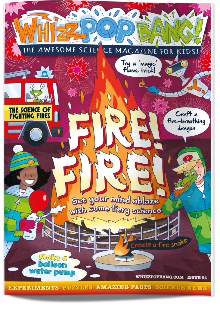 FIRE! FIRE! cover image