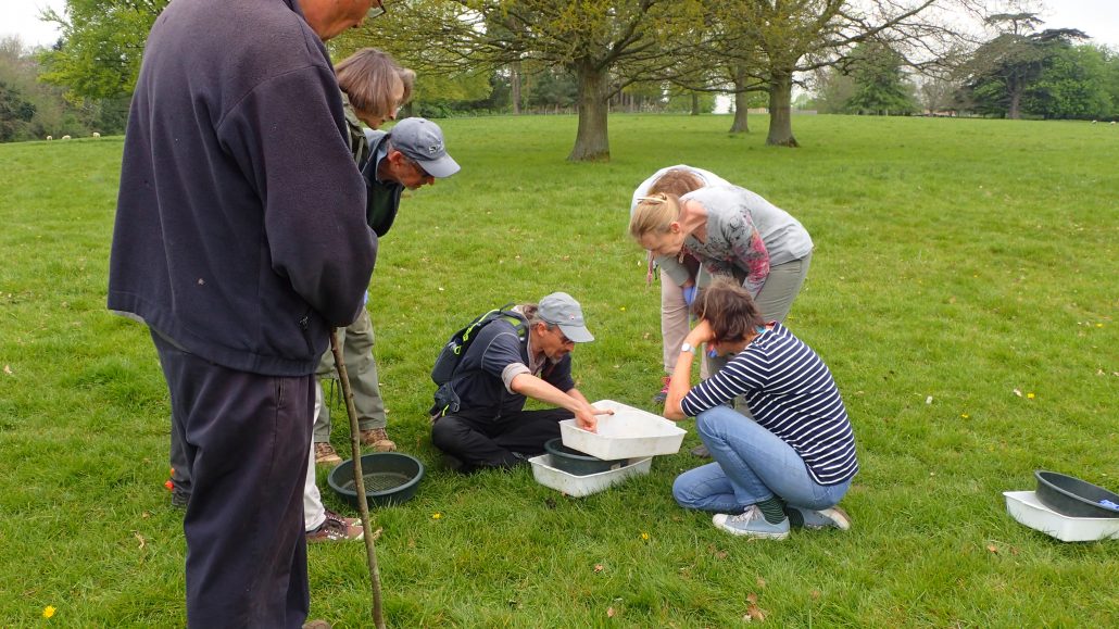 Beetle expert Darren Mann talks to Whizz Pop Bang science magazine about his love of insects and how he got his job as a collections manager at the Oxford University Museum of Natural History