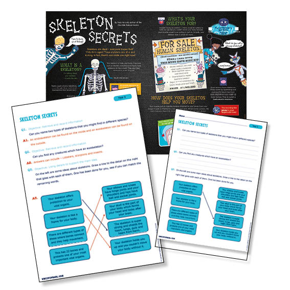 Reading comprehension about how your skeleton works for year 3 science lesson. 