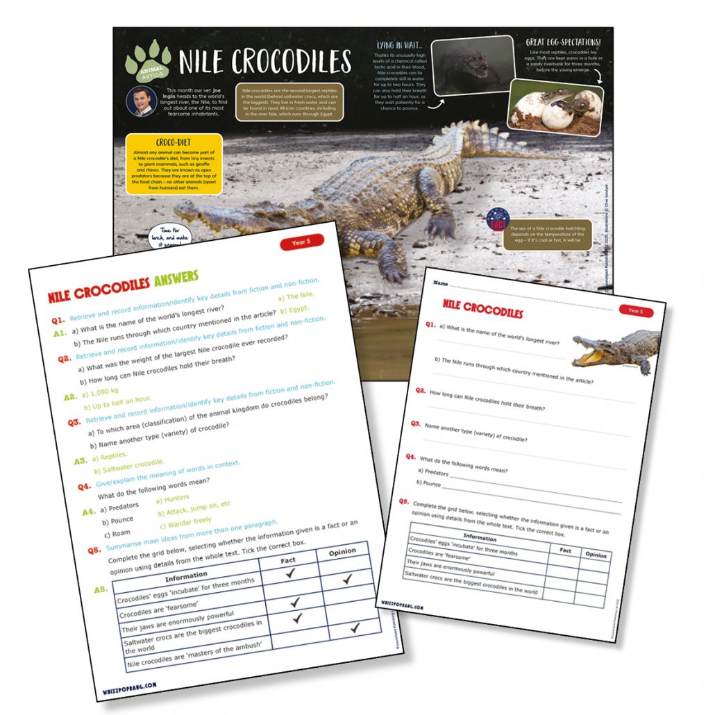 Nile crocodiles non-chronological report for year 5 science lesson.