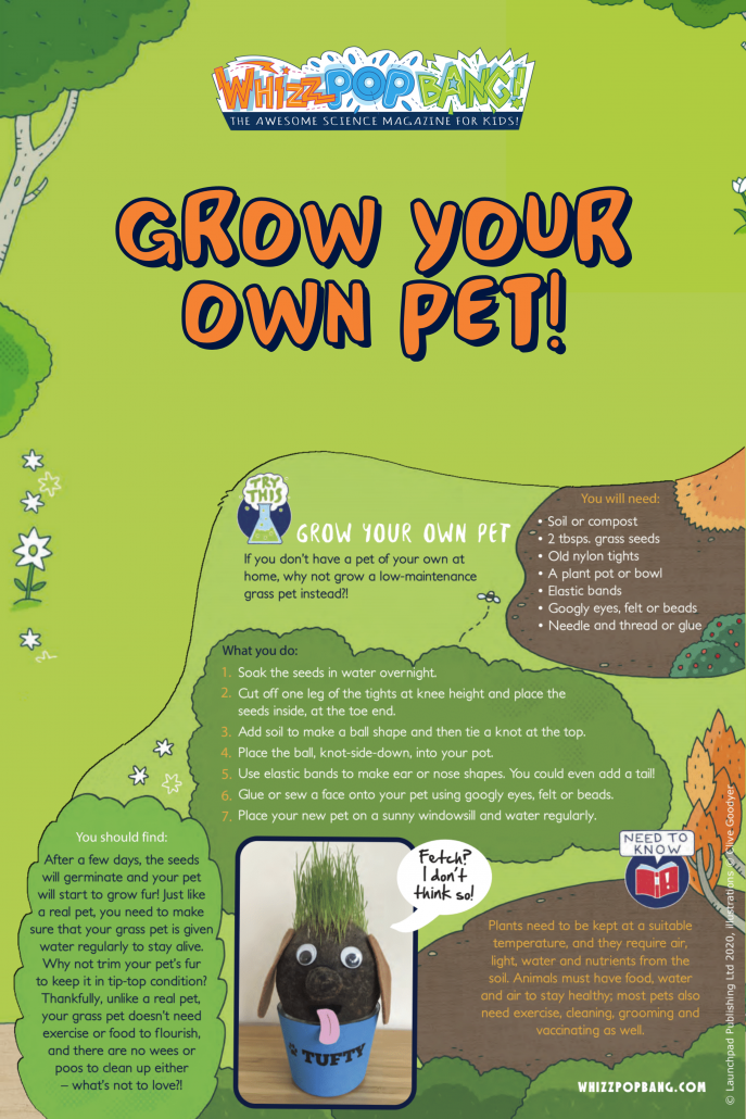 grow your own pet activity instructions