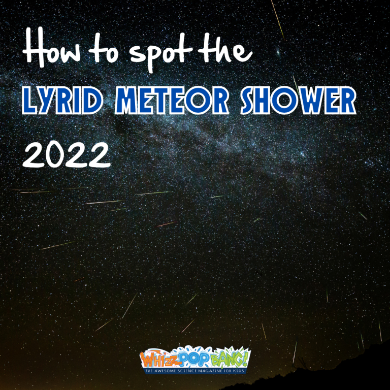 How to spot the Lyrid meteor shower 2022 Whizz Pop Bang Blog