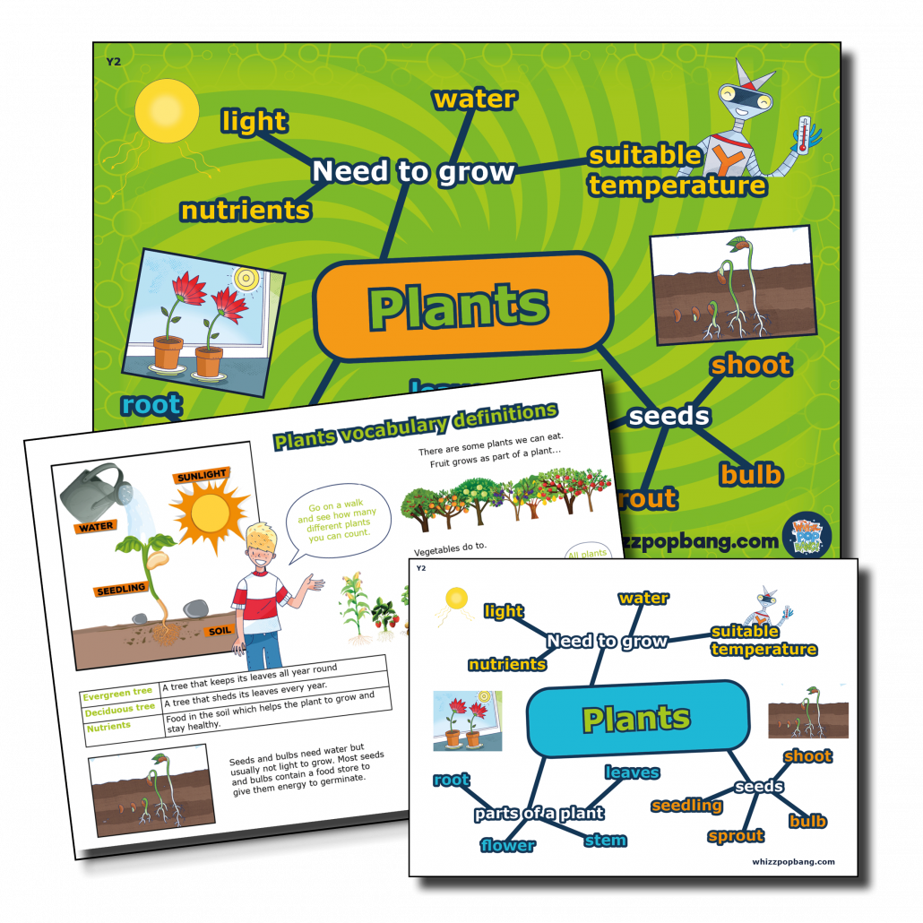 lesson about plants for ks1 and ks2