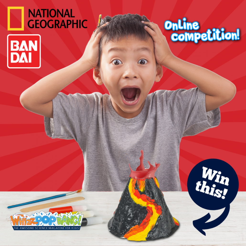 Build a Volcano Science Education Kit