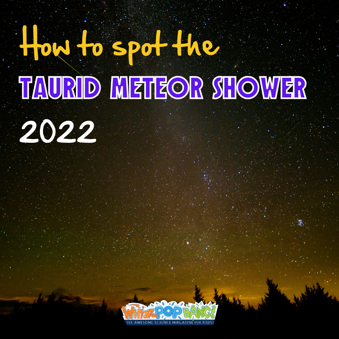 How to spot the Taurid meteor shower 2022 Whizz Pop Bang Blog