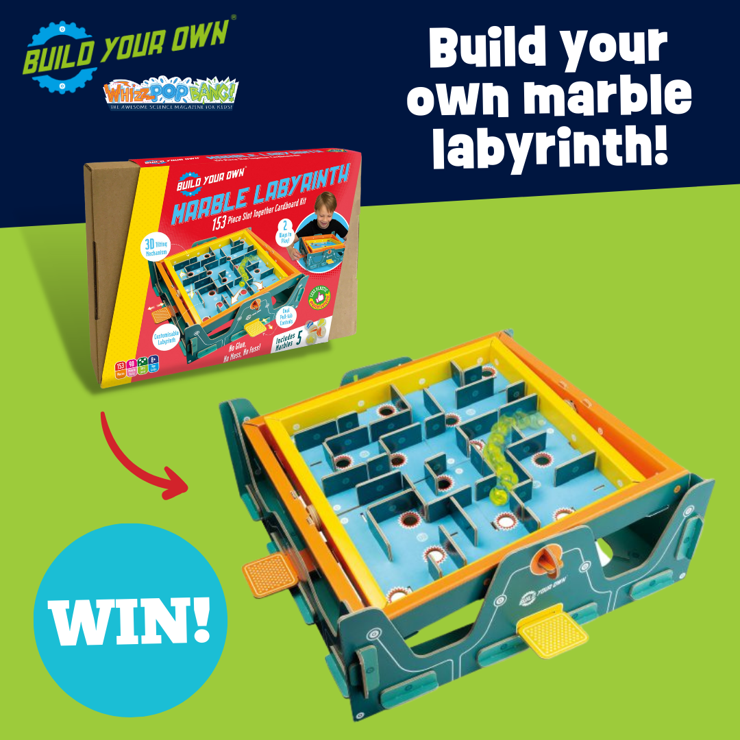 COMPETITION CLOSED WIN a Build Your Own Marble Labyrinth! Whizz Pop Bang Blog