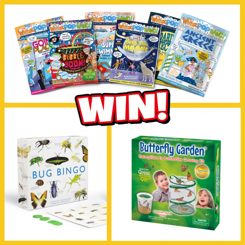 Science gift competition bug bingo Whizz Pop Bang science magazine Insect Lore Butterfly Garden