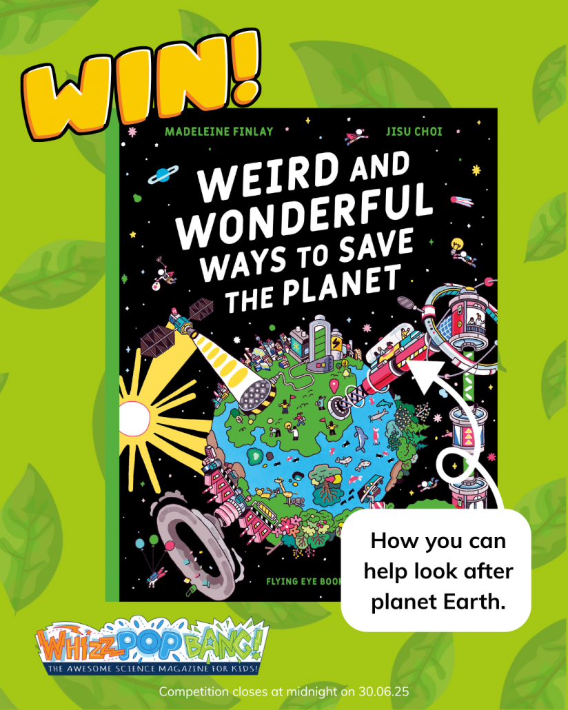 Weird and Wonderful Ways to Save the Planet cover – illustrated eco ideas