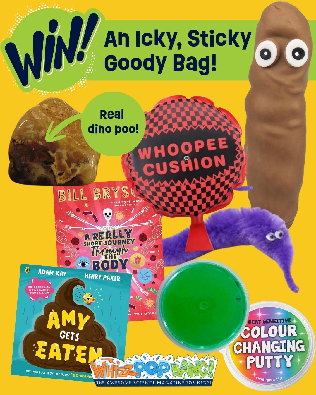 Win a kids science goody bag