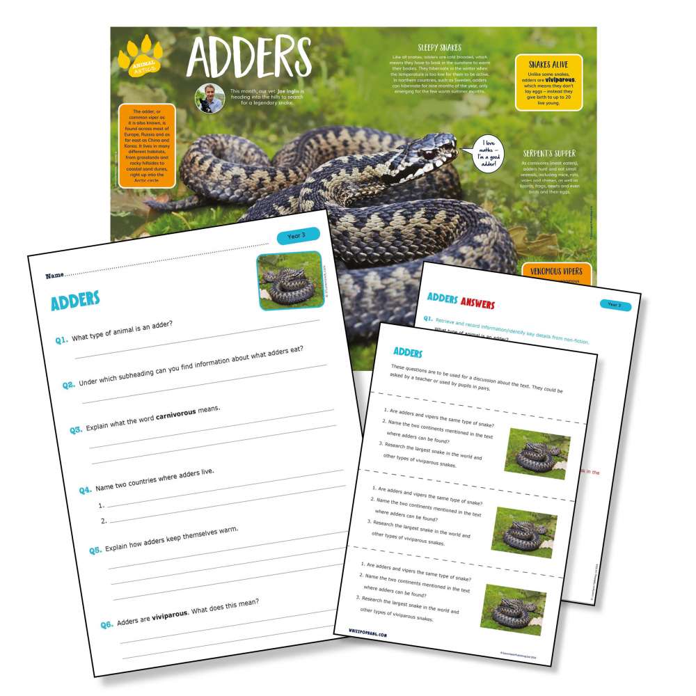 A non-chronological report on adders