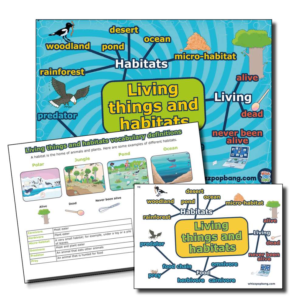 Year 2 Living things and habitats vocabulary 