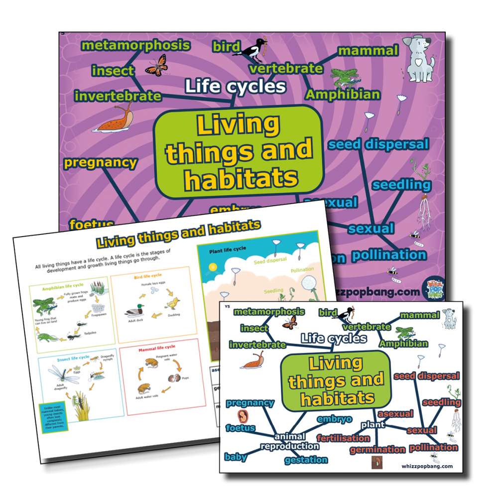 Year 5 Living things and habitats vocabulary