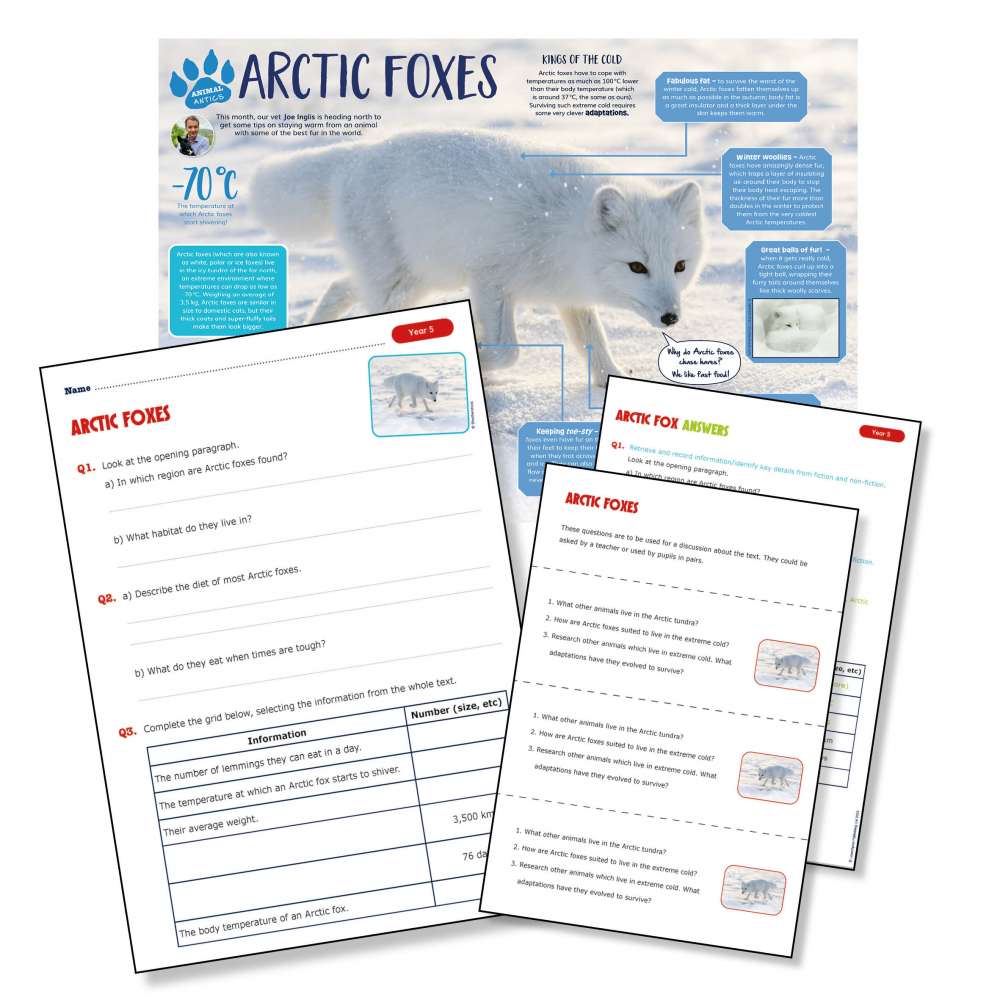 A non-chronological report on Arctic foxes