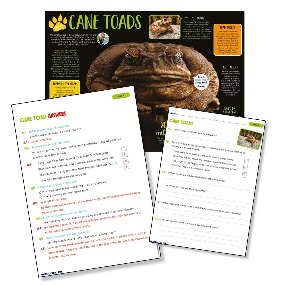 A non-chronological report on cane toads