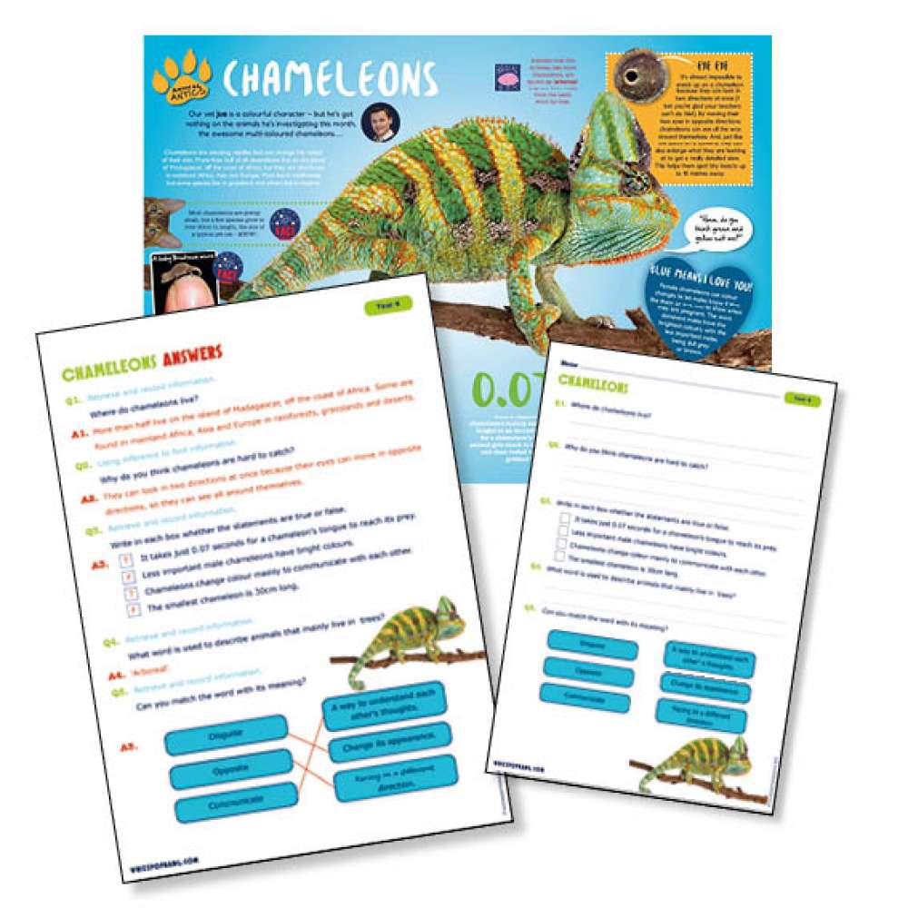 A non-chronological report on chameleons