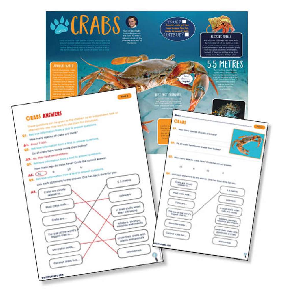  A non-chronological report on crabs