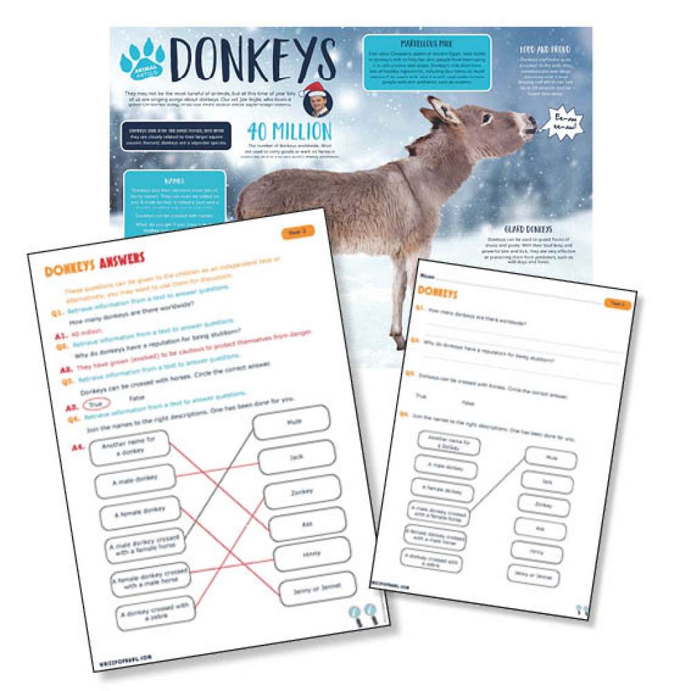 A non-chronological report on donkeys