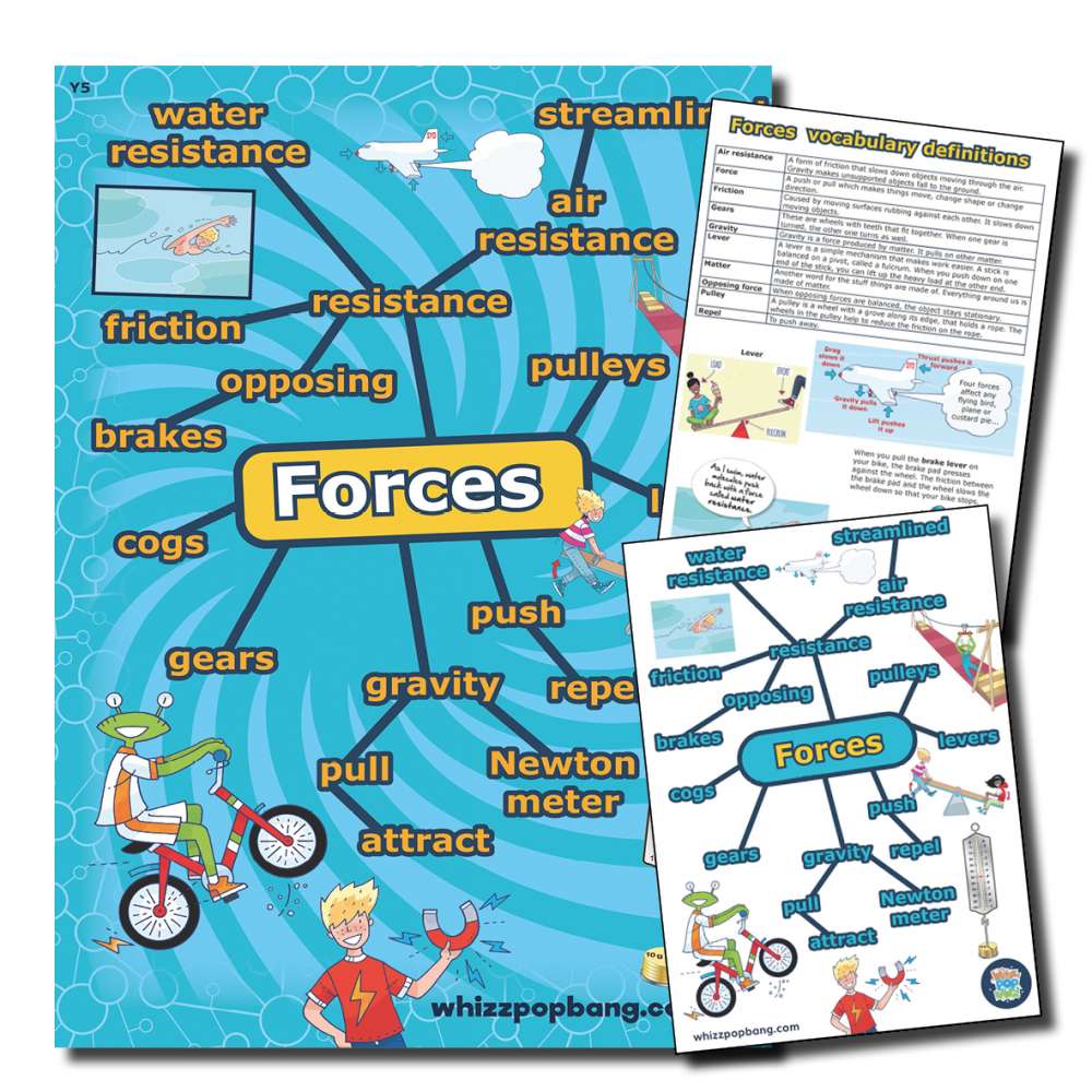 Year 5 Forces vocabulary