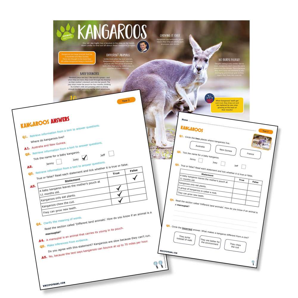 A non-chronological report on kangaroos