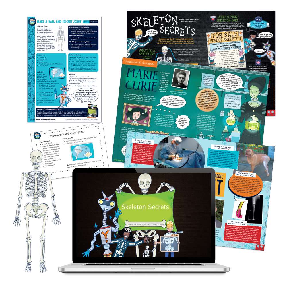  Skeleton: ball and socket joint