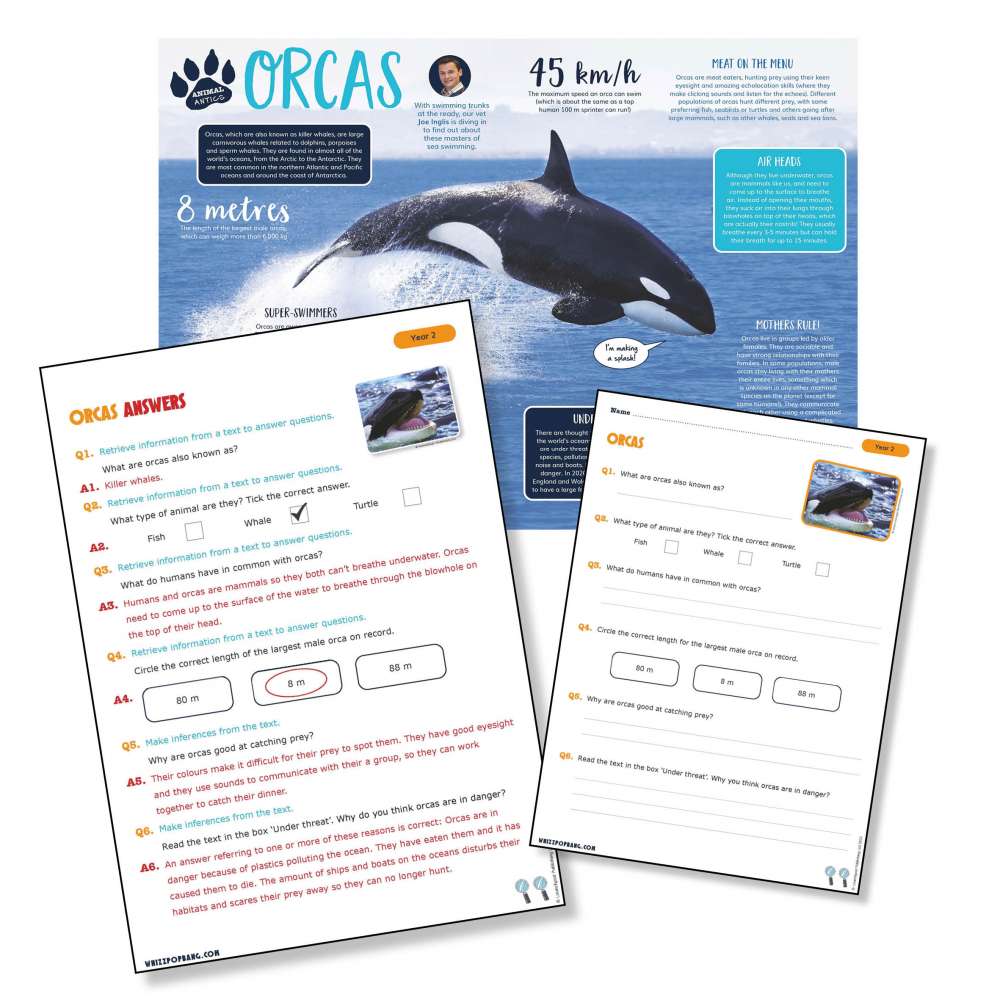 A non-chronological report on orcas