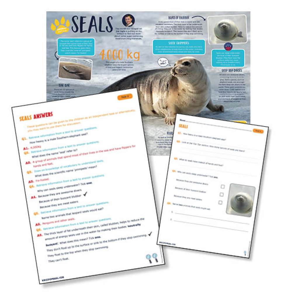 A non-chronological report on seals