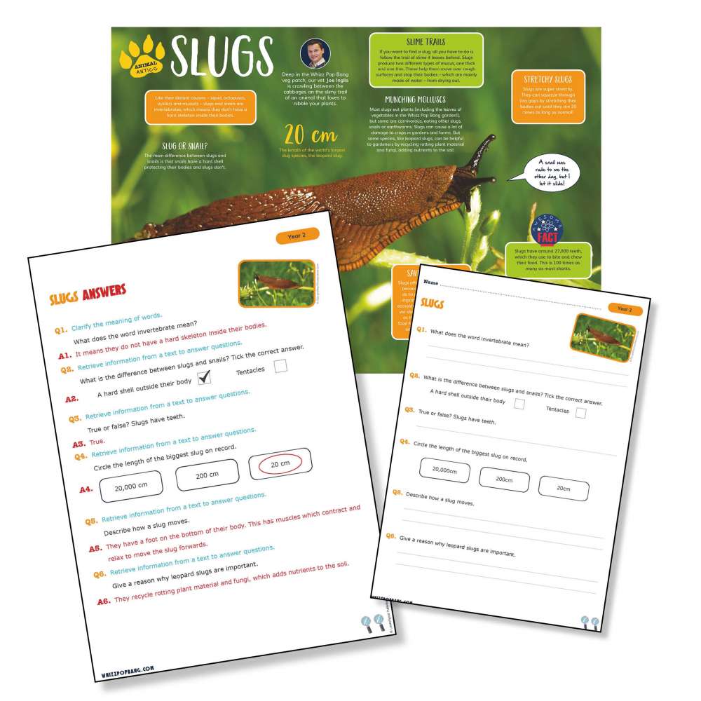 A non-chronological report on slugs
