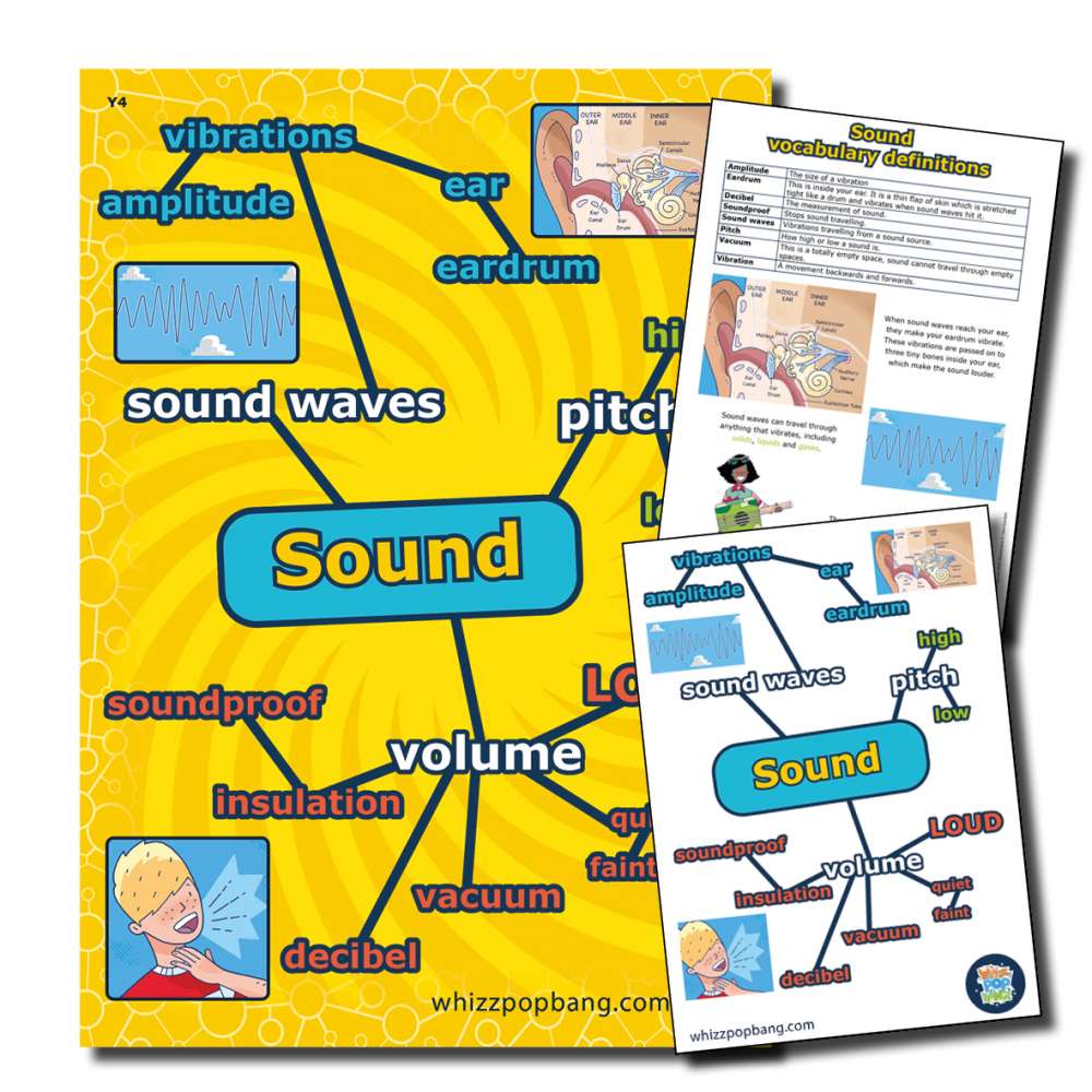 Year 4 Sound vocabulary