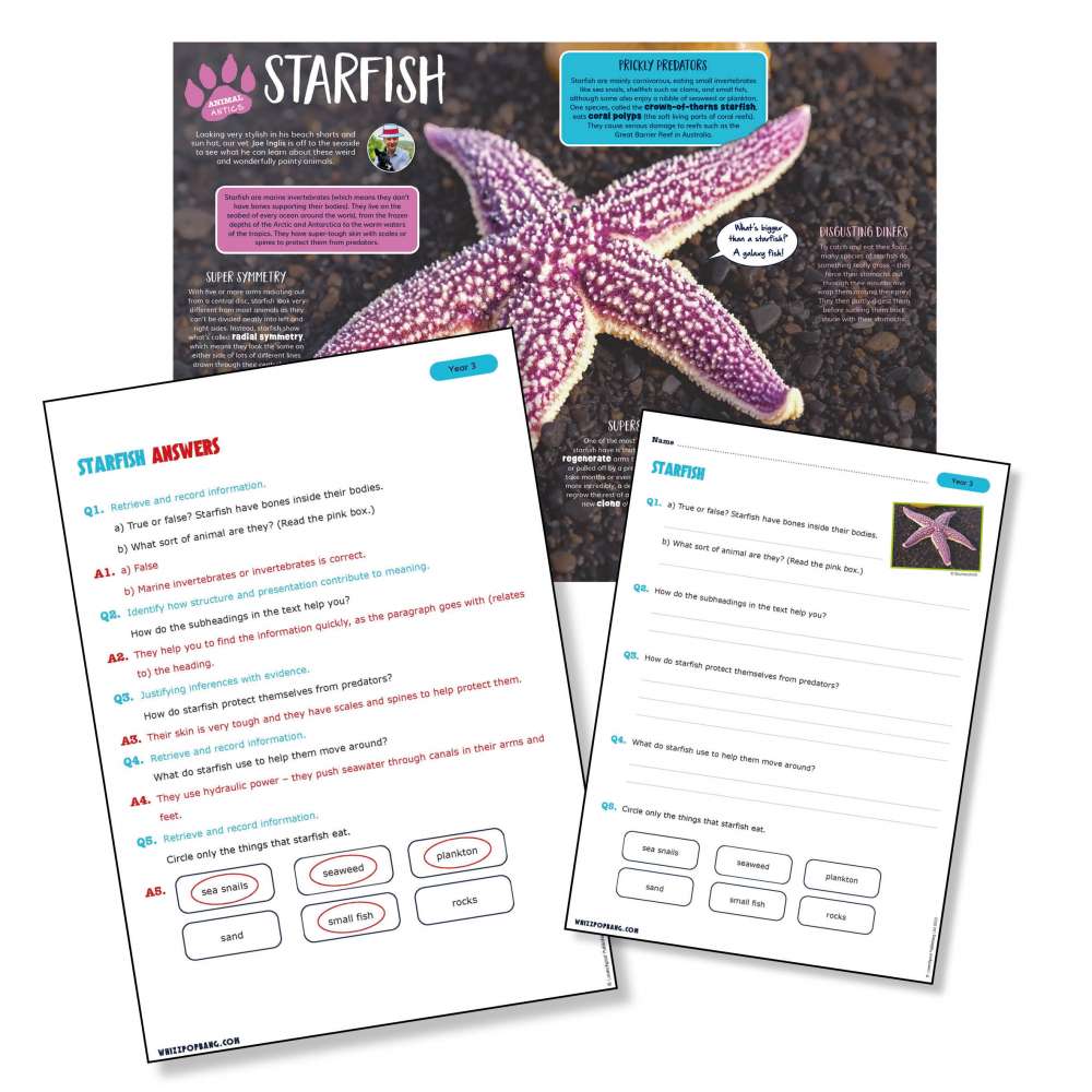 A non-chronological report on starfish