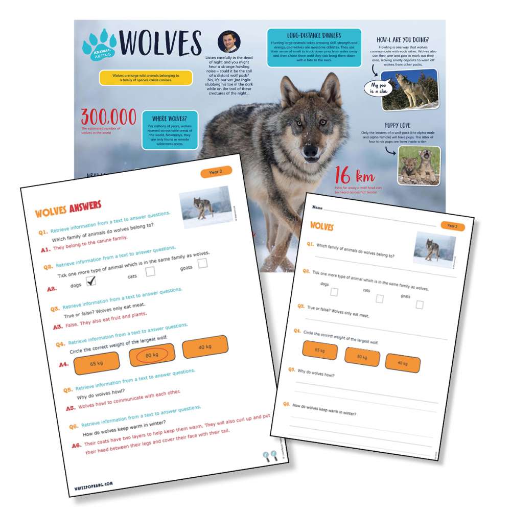 A non-chronological report on wolves