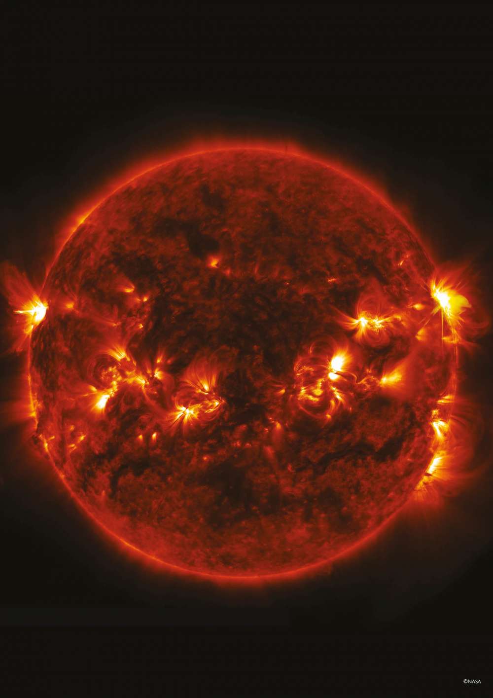 Space: solar flares on the Sun 