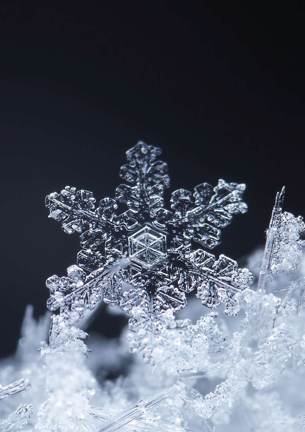 Stunning snowflake