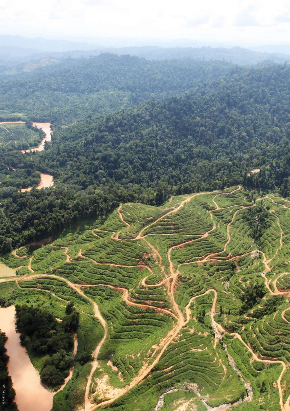 Deforestation in the rainforest
