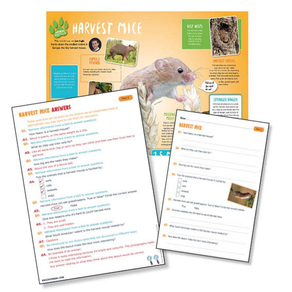 A non-chronological report on harvest mice