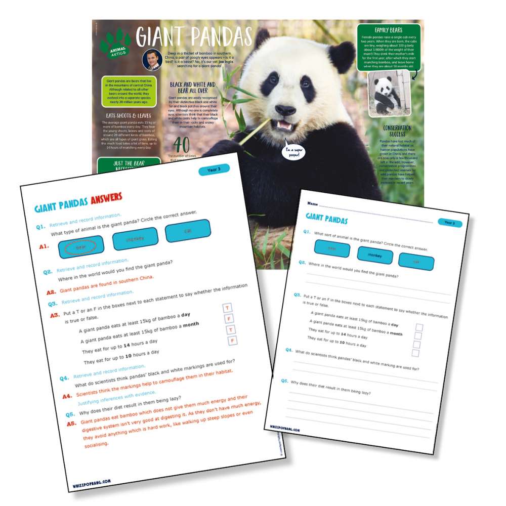 A non-chronological report on giant pandas