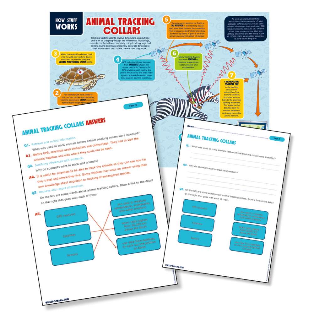 An explanation text about animal tracking collars