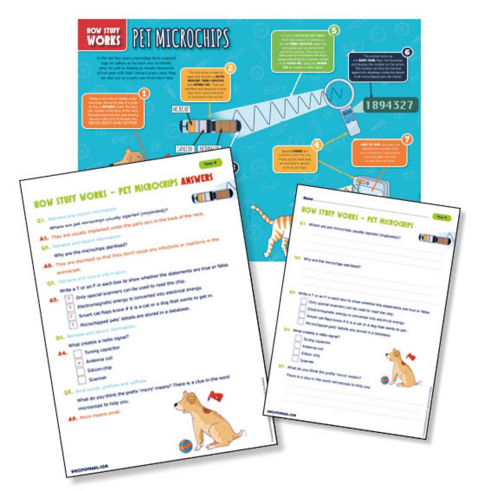 Electricity: How pet microchips work