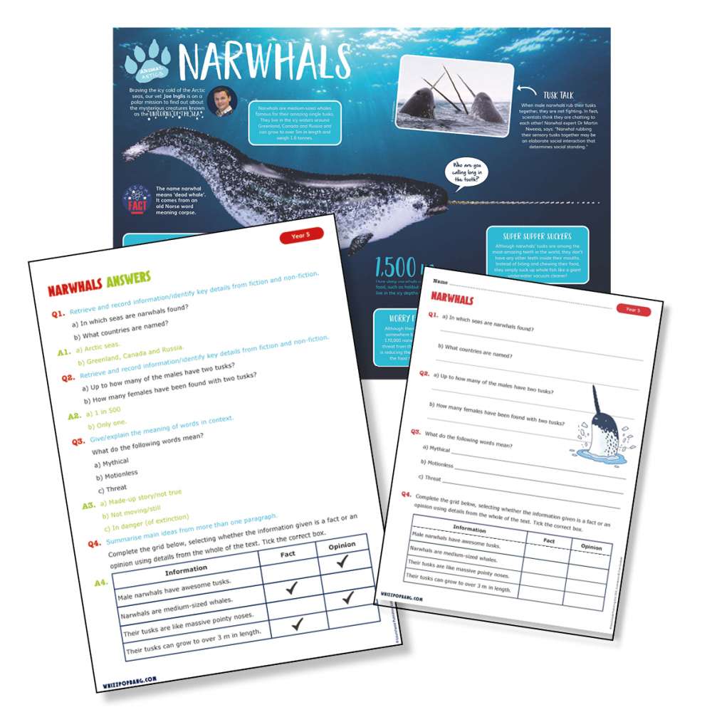 Non-chronological report on narwhals