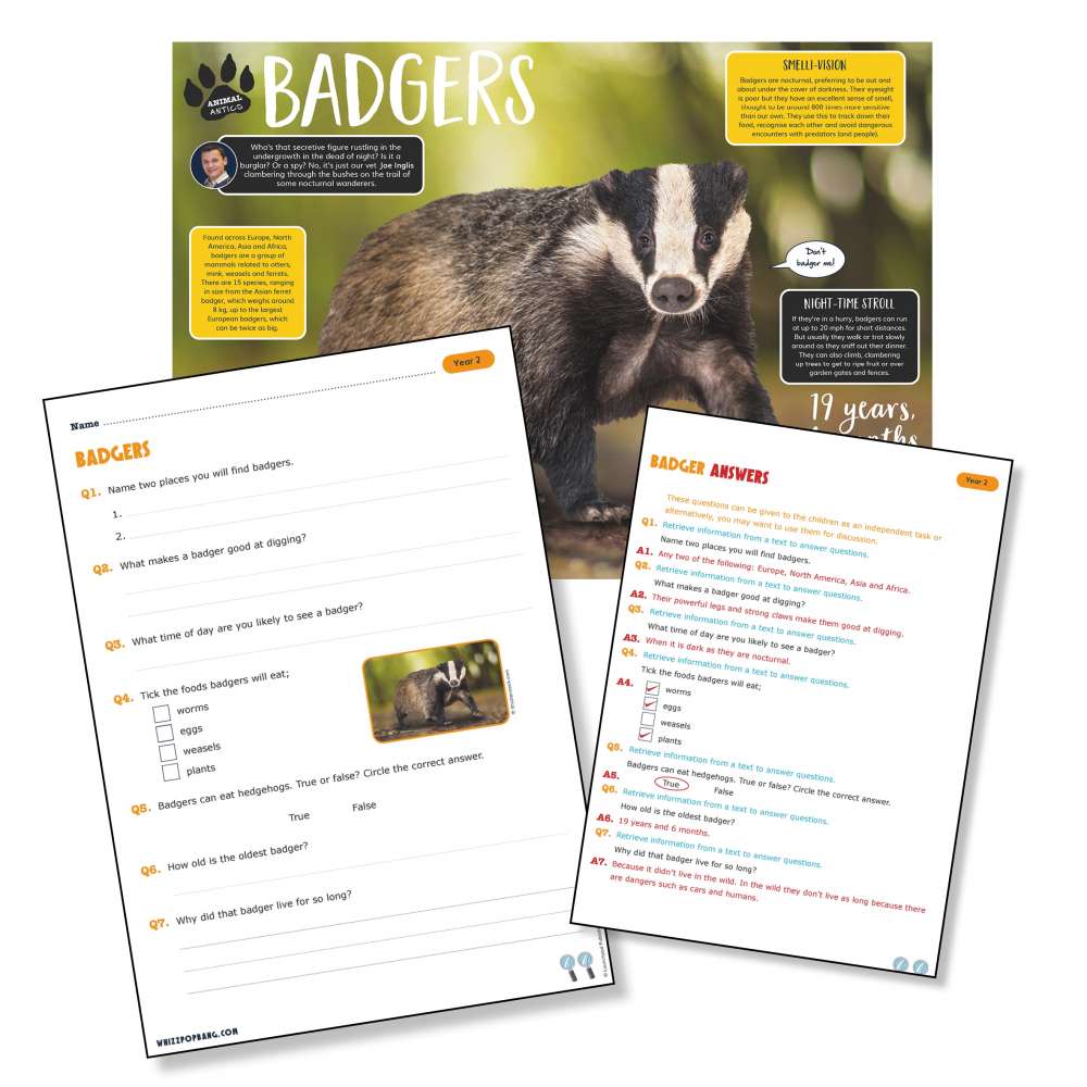 A non-chronological report on badgers